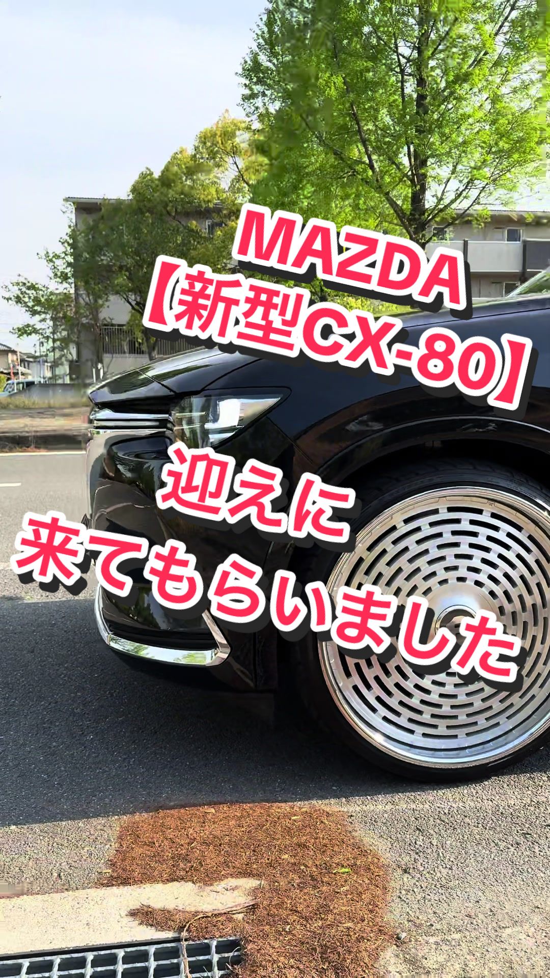 @ビスポ先生