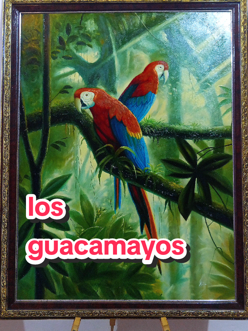 @anthuan salgado