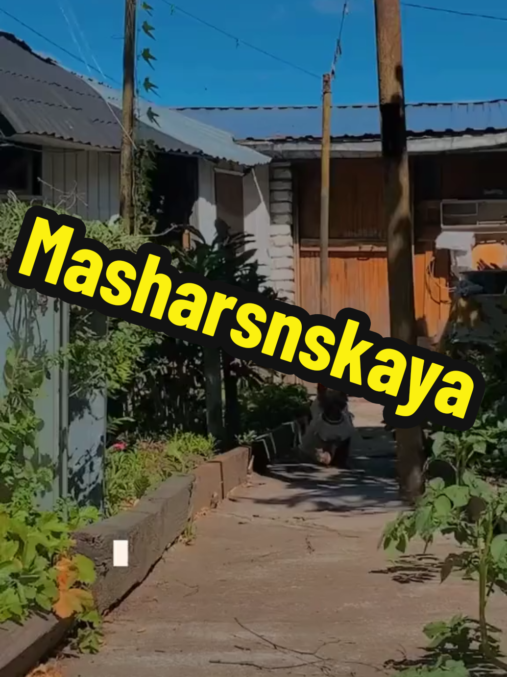 @🤟Веня Машаранский✌
