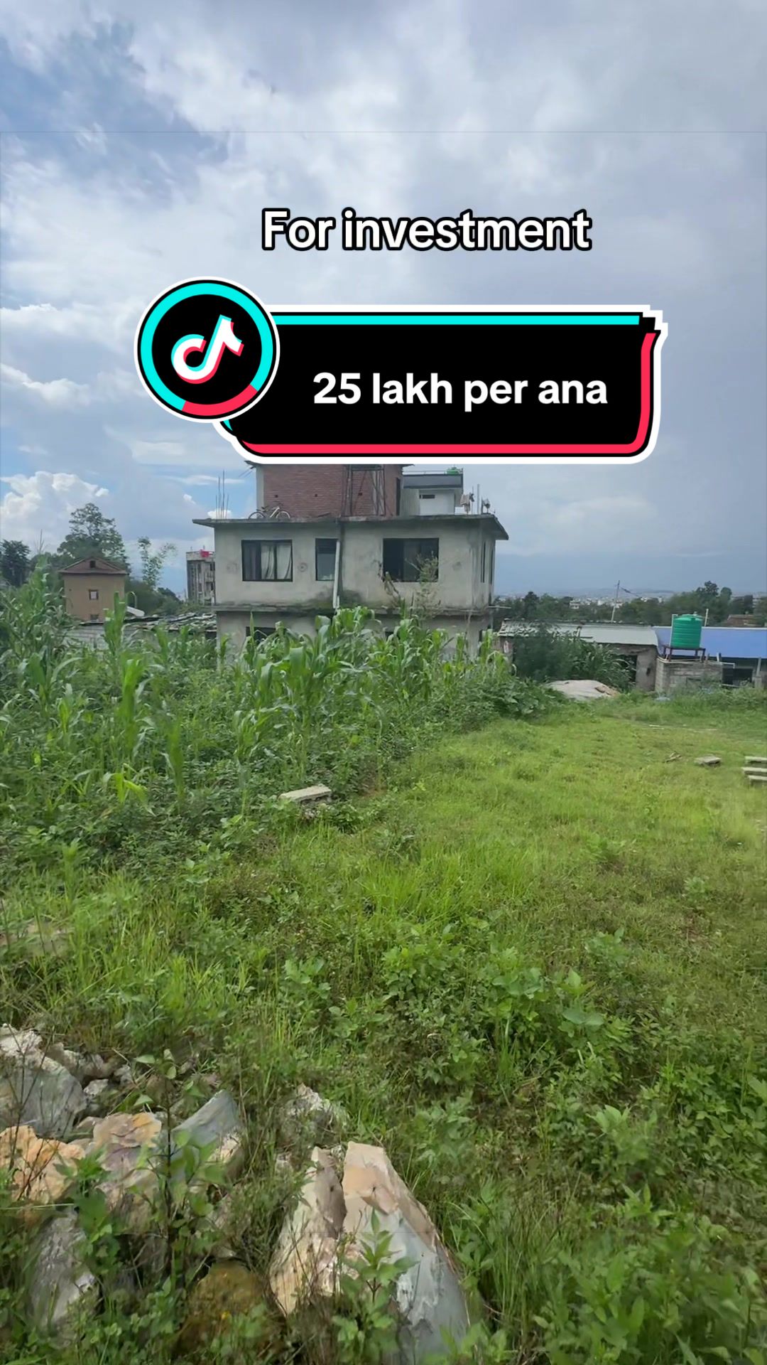 @Dd_Baini Real Estate