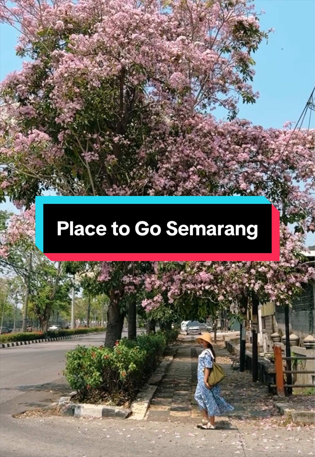 @Sowan Suwun