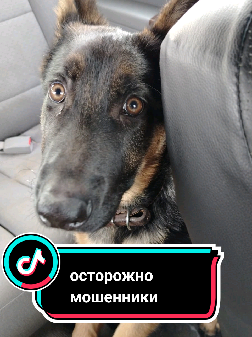 @Рыся✔️🇧🇾
