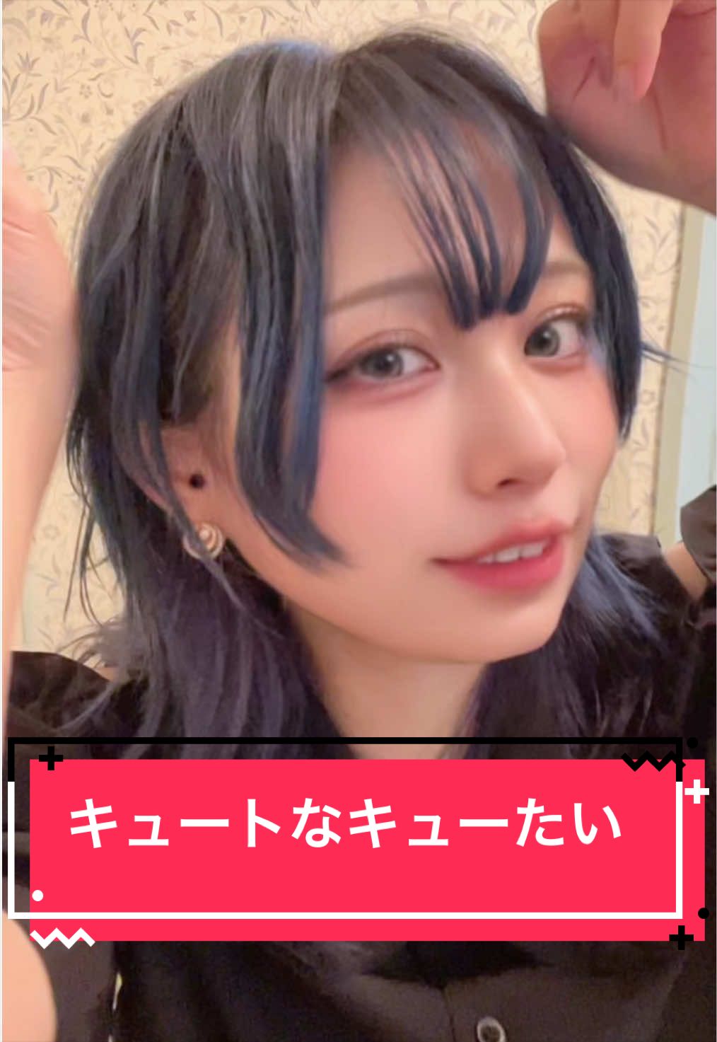 @めめたん🧚&zwj;♀️【One Live】