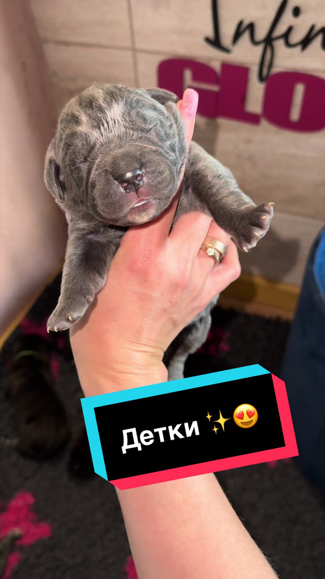 @Infinity Glory 🇺🇦