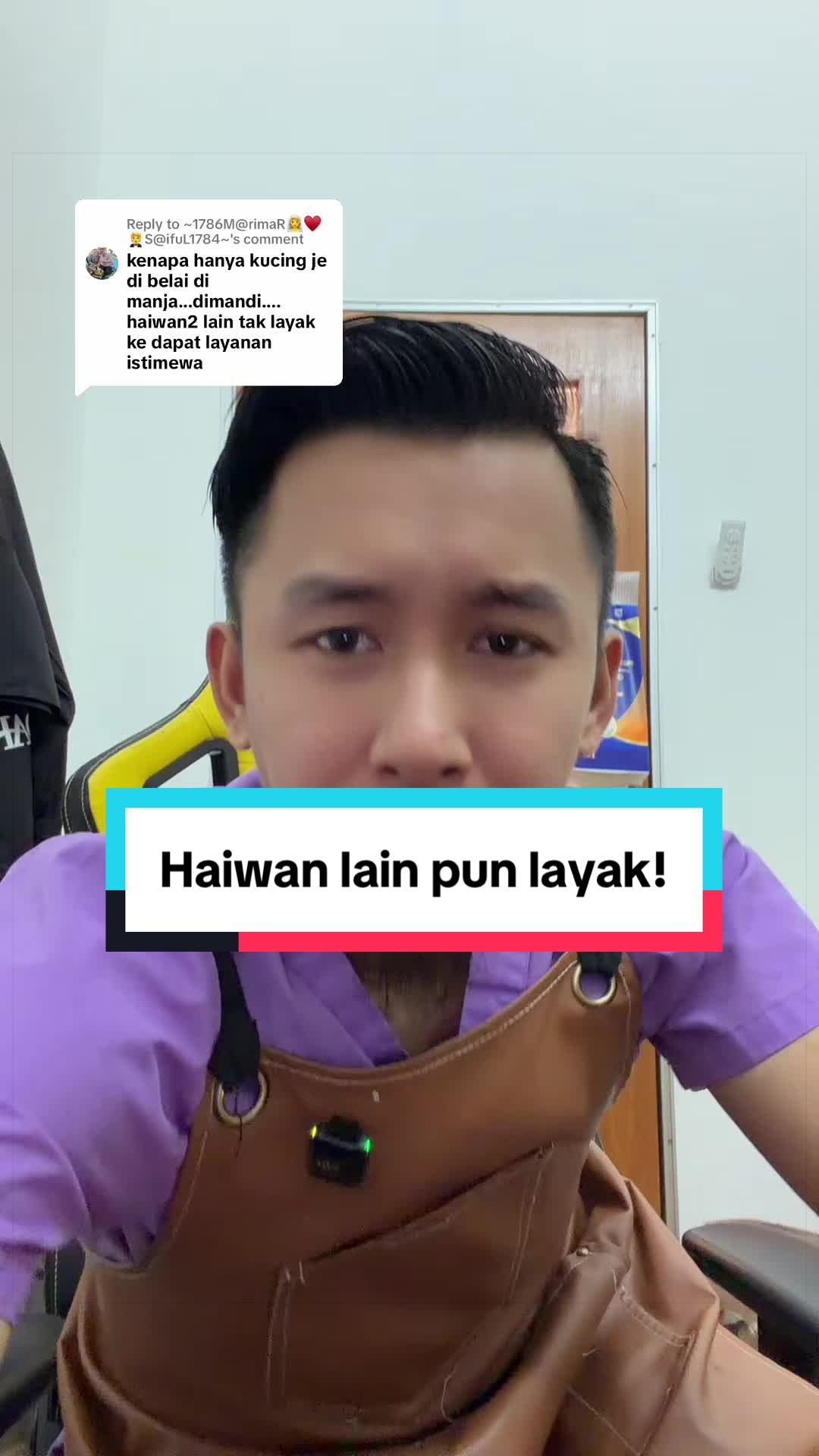@MOZICAT | CAT GROOMING RAWANG
