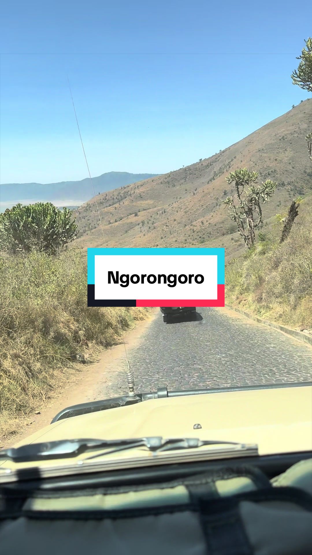 @Milana Tours and Safaris
