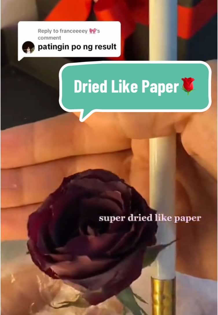 @Misspola🌷