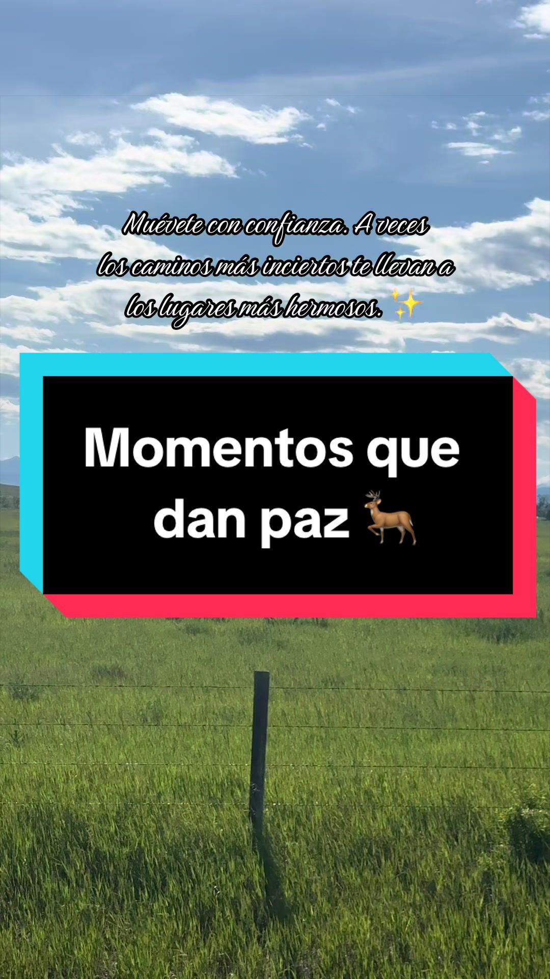 @Naty 💕