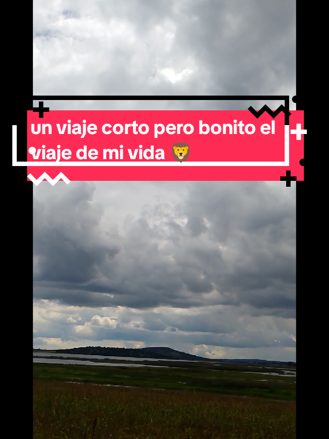 @Andi Romero
