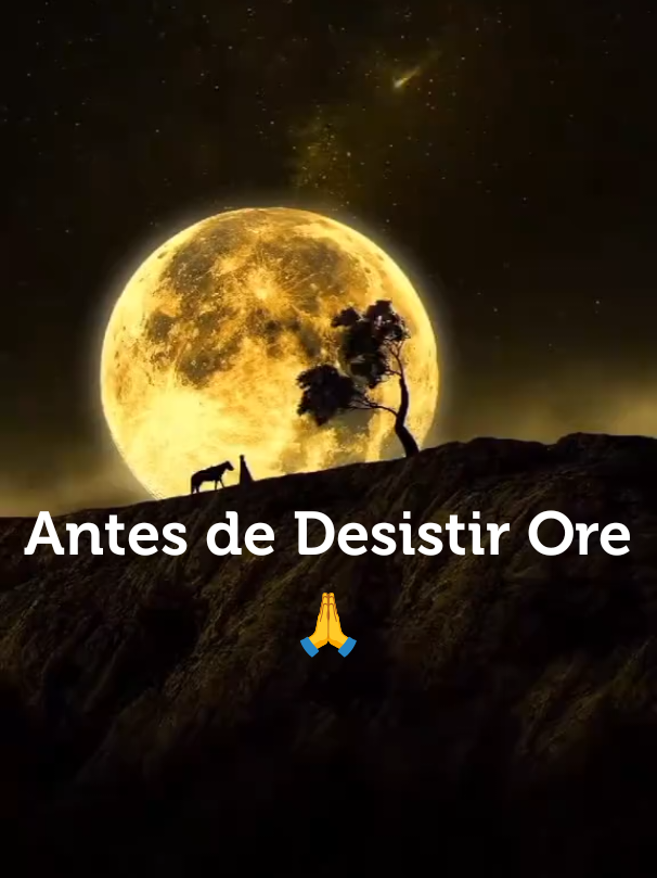 @Jean Cerqueira