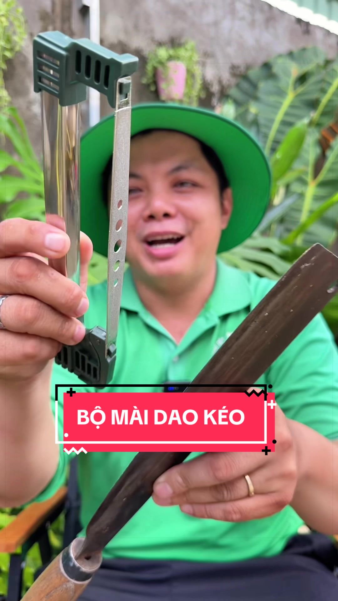 @Cây Xanh Phong Hồng