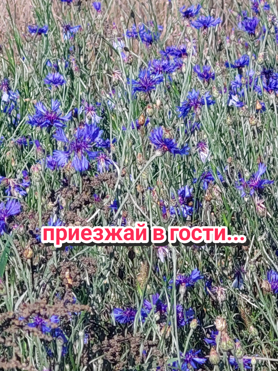 @Рыся✔️🇧🇾