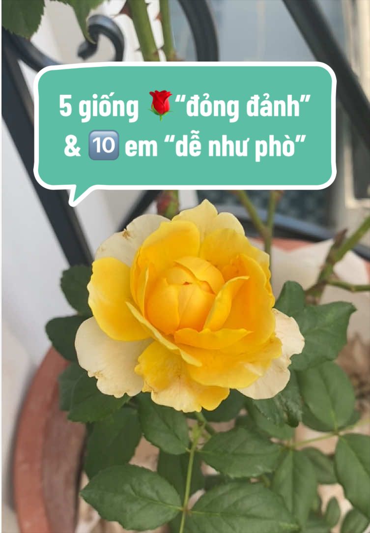 @Gia vị cuộc sống