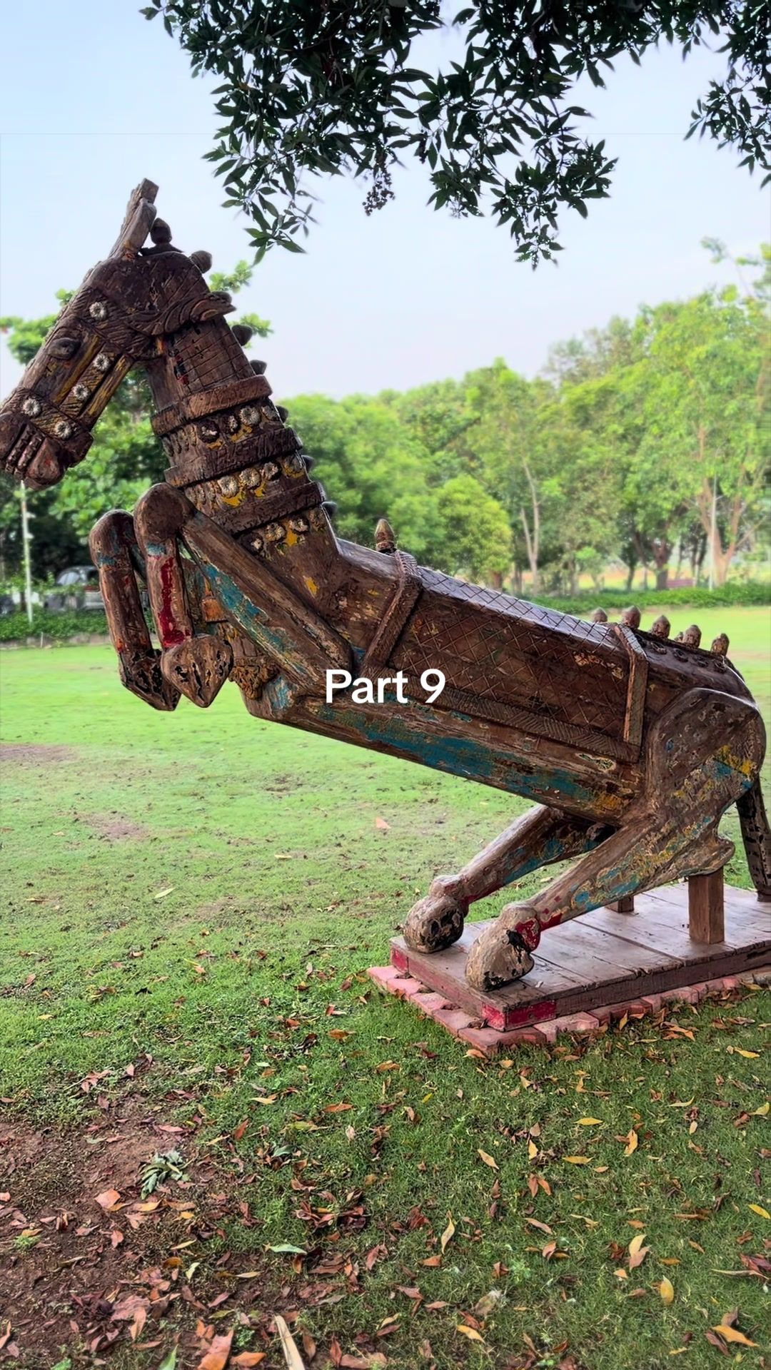 @Teacher G Collection