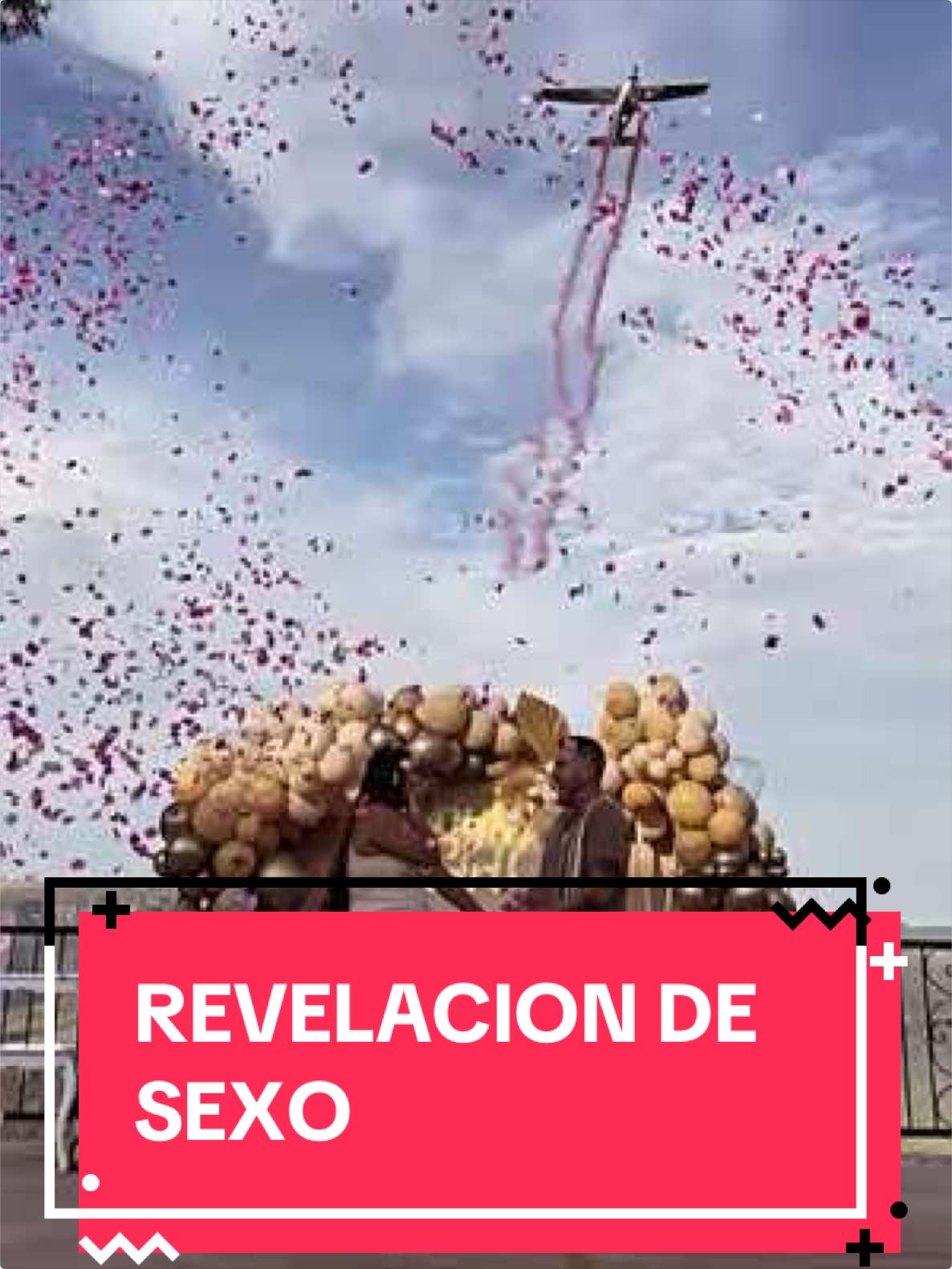 @Vuelos SkyExplore