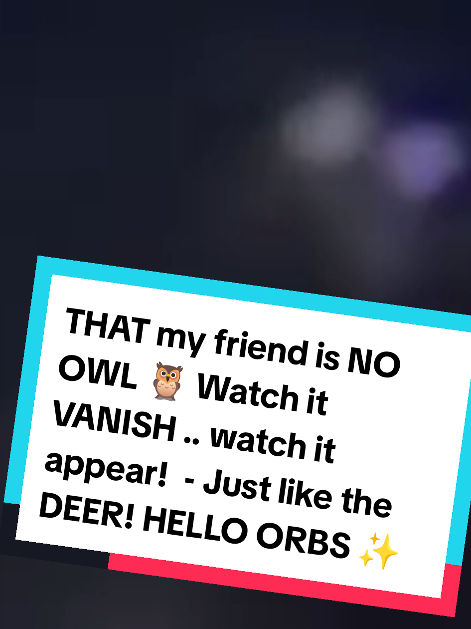 @Don't Pet UFOlogy 🛸✨