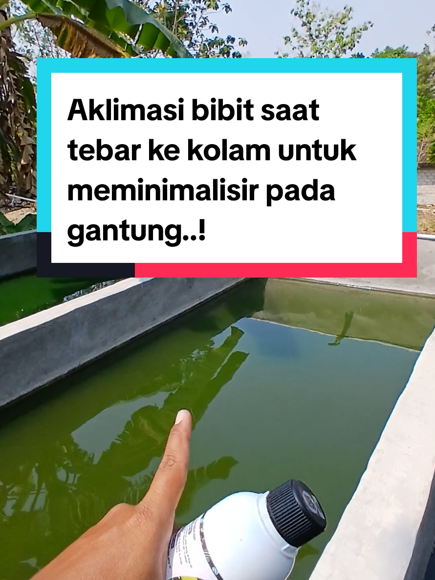 @Kang_Ewi