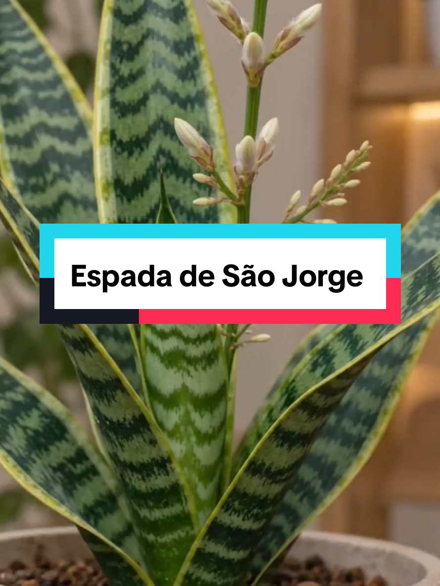 @Dicas e Receitas Naturais