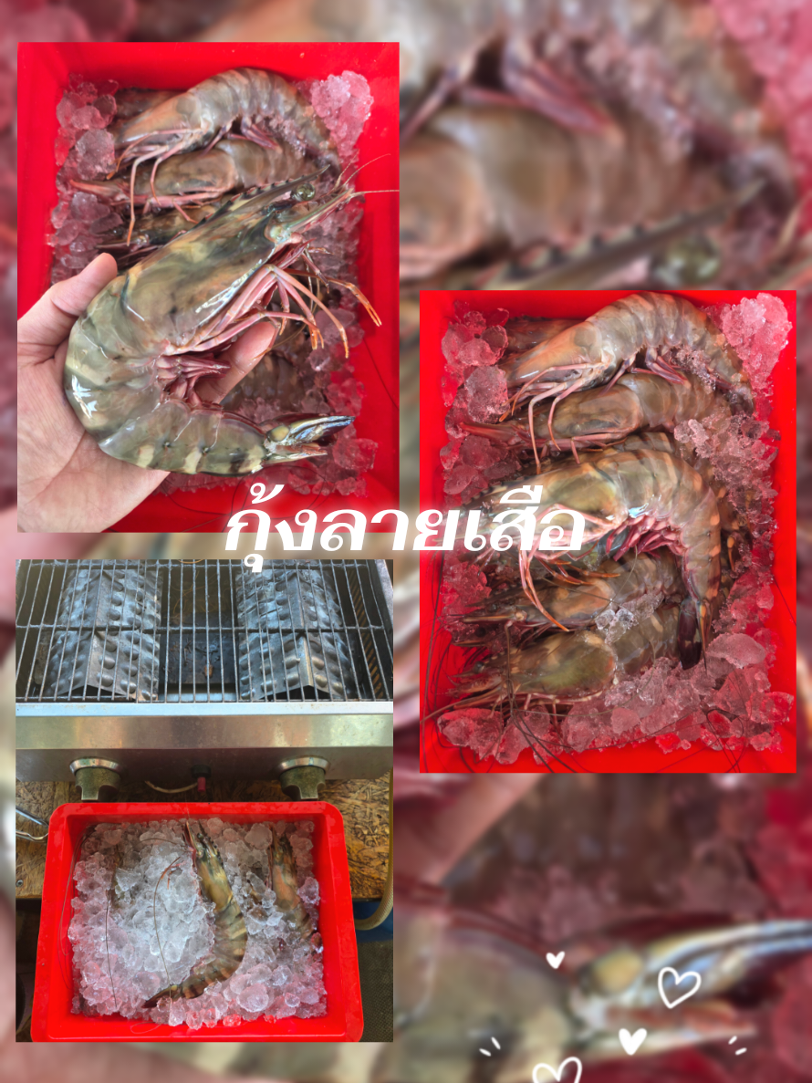 @ครัวโต้รุ่ง บางแสน