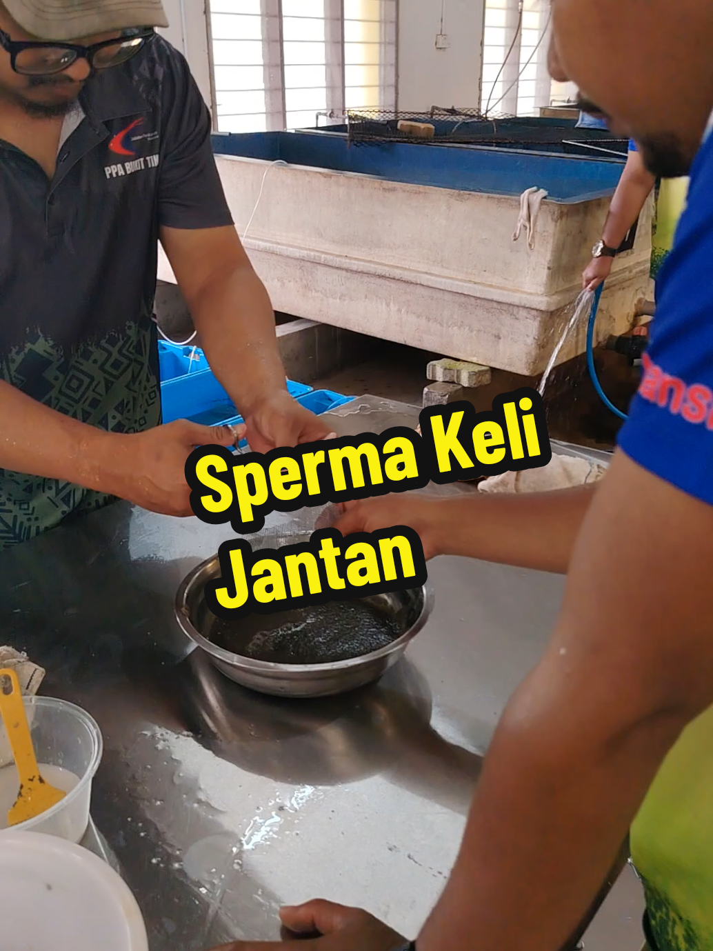 @DiZuL