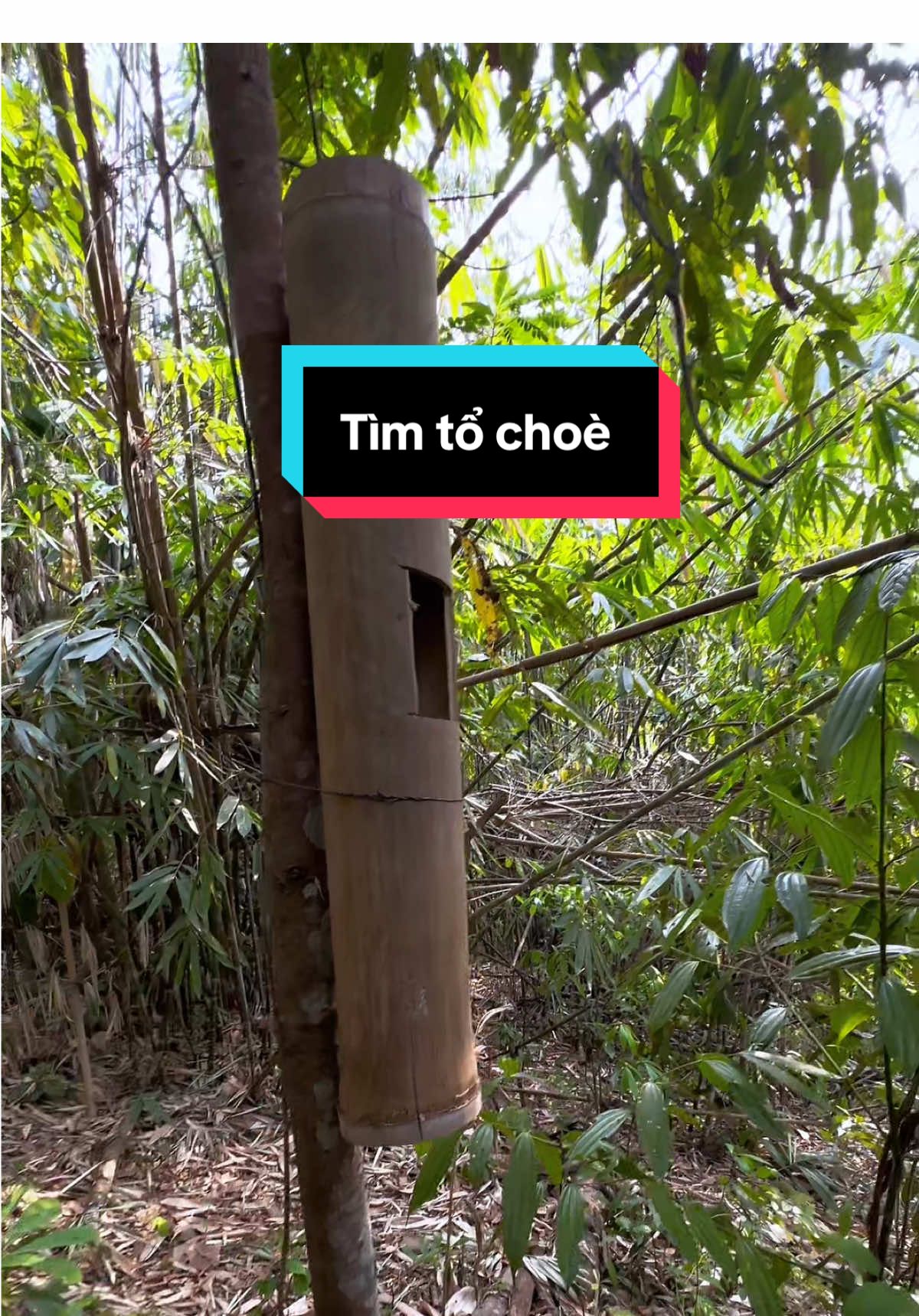 @C&C Miền N&uacute;i ⛰️