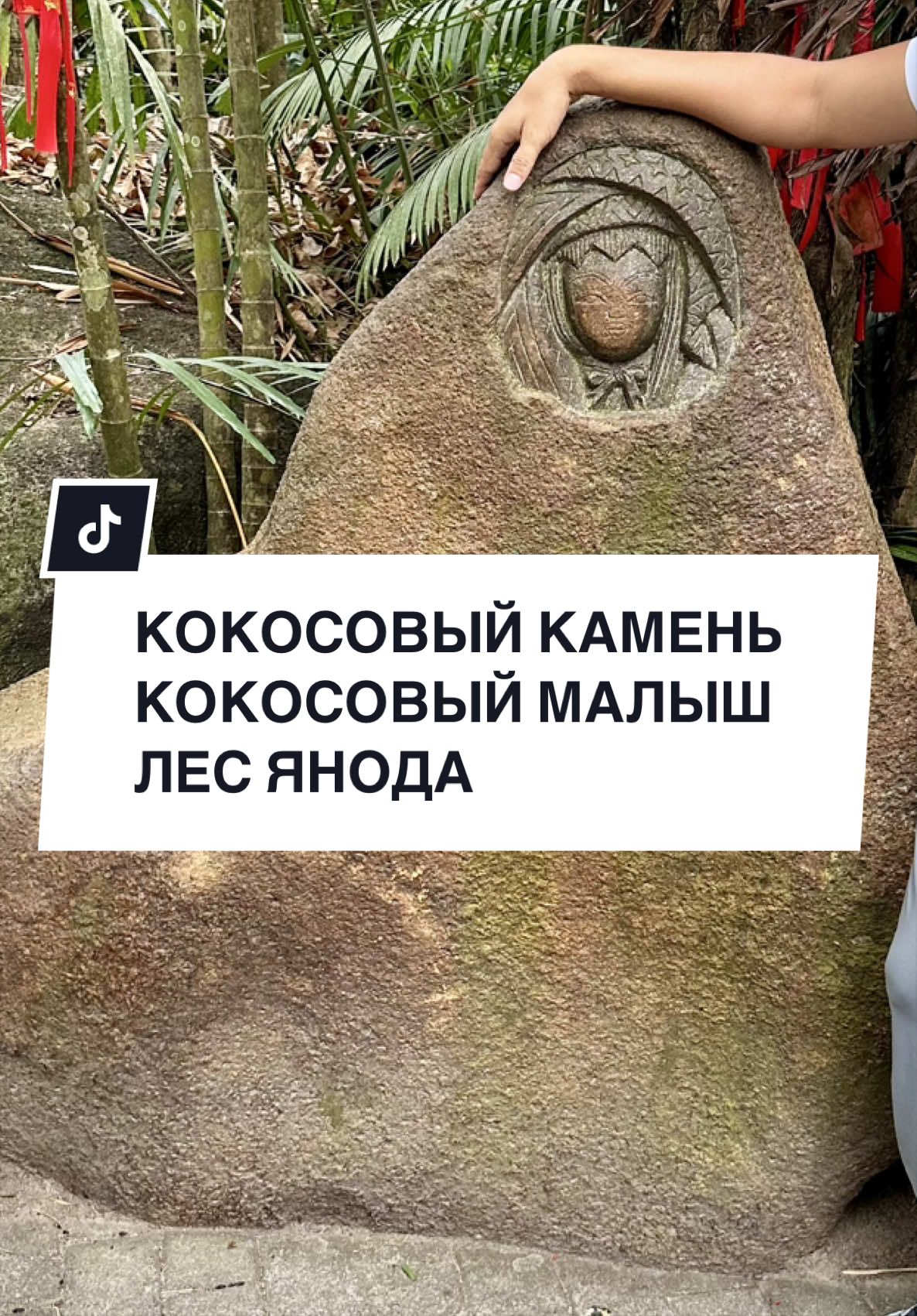 @NASI