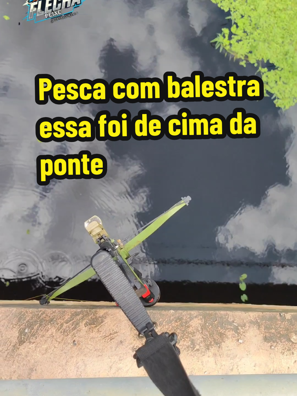 @Joildo Araujo