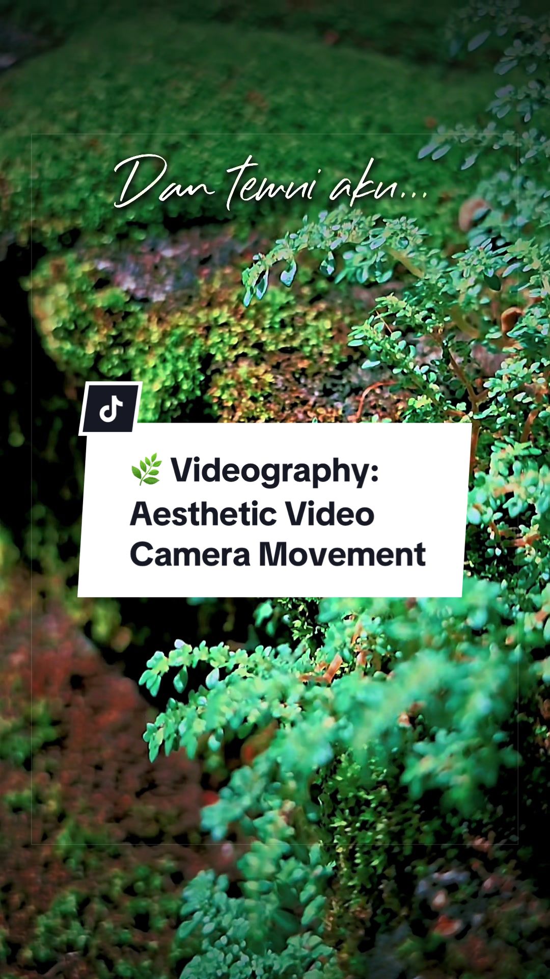 @Muhammad | Videographer