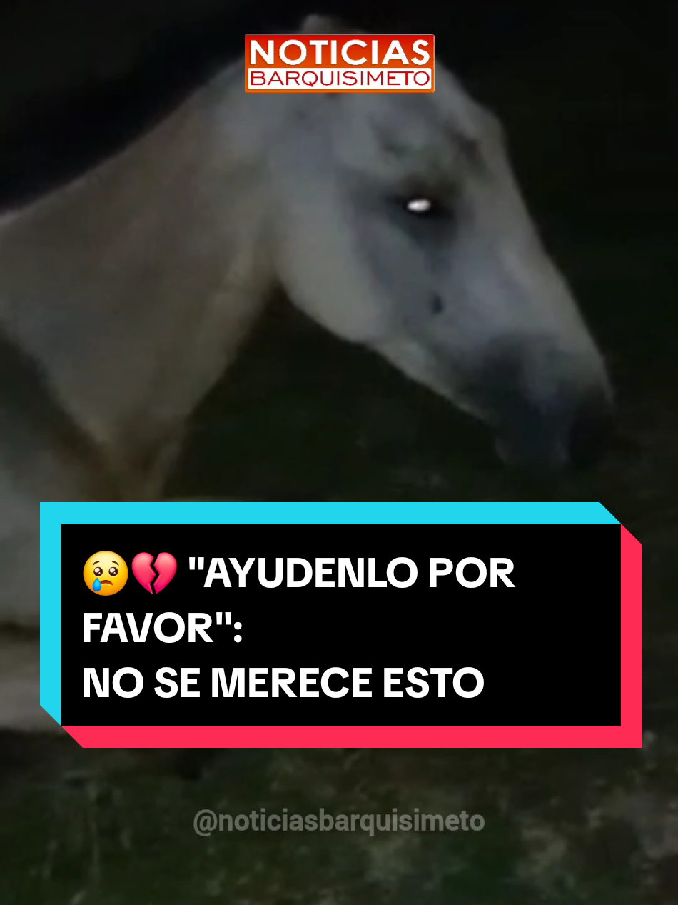 @Noticias Barquisimeto