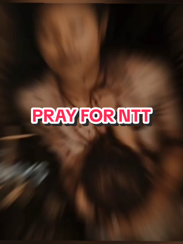 @๐ฝ๐
๐พ๐ฝ๐ถ_๐
๐ด๐
๐ธ™โจ๏ธ