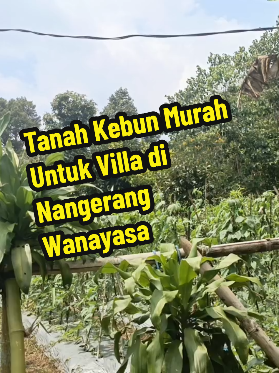 @jamalpropurwakarta