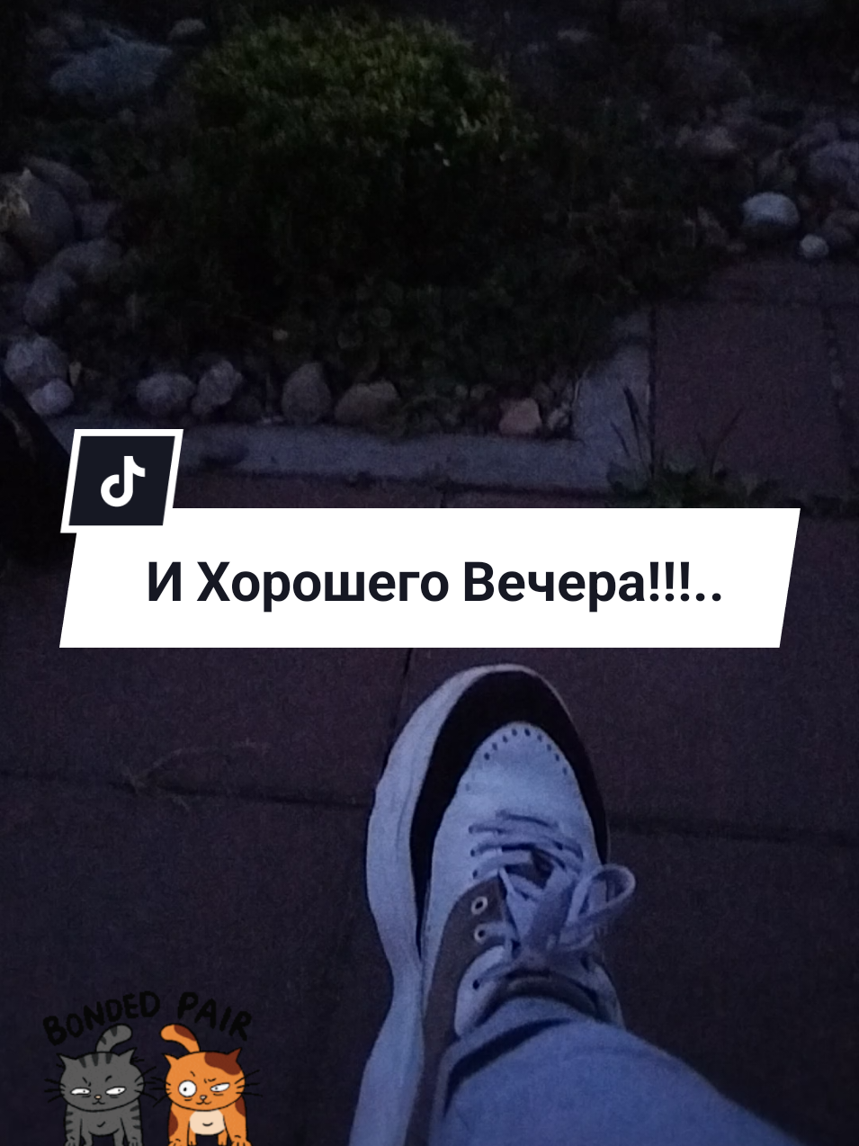 @IRINA