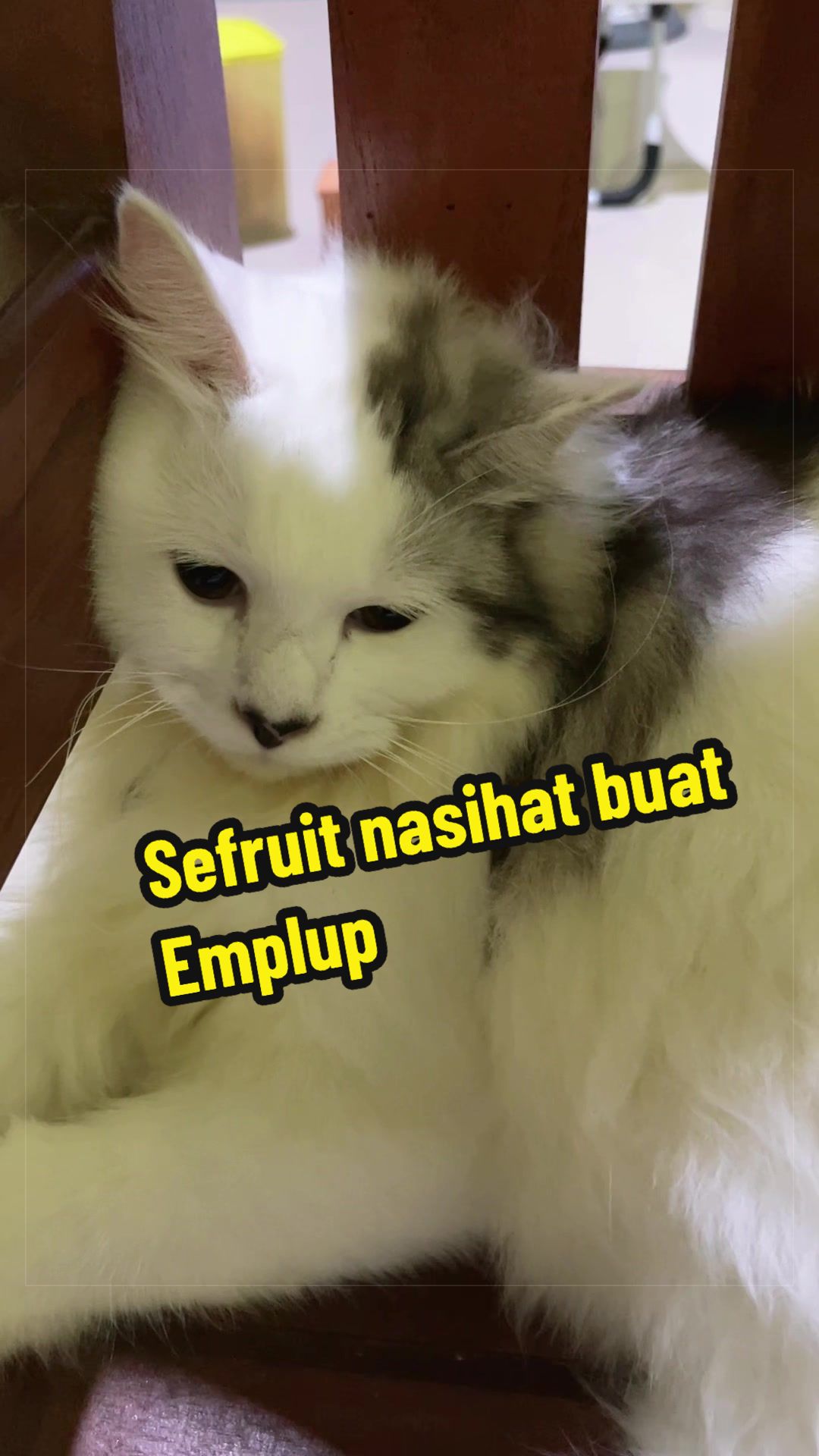 @deanmuu