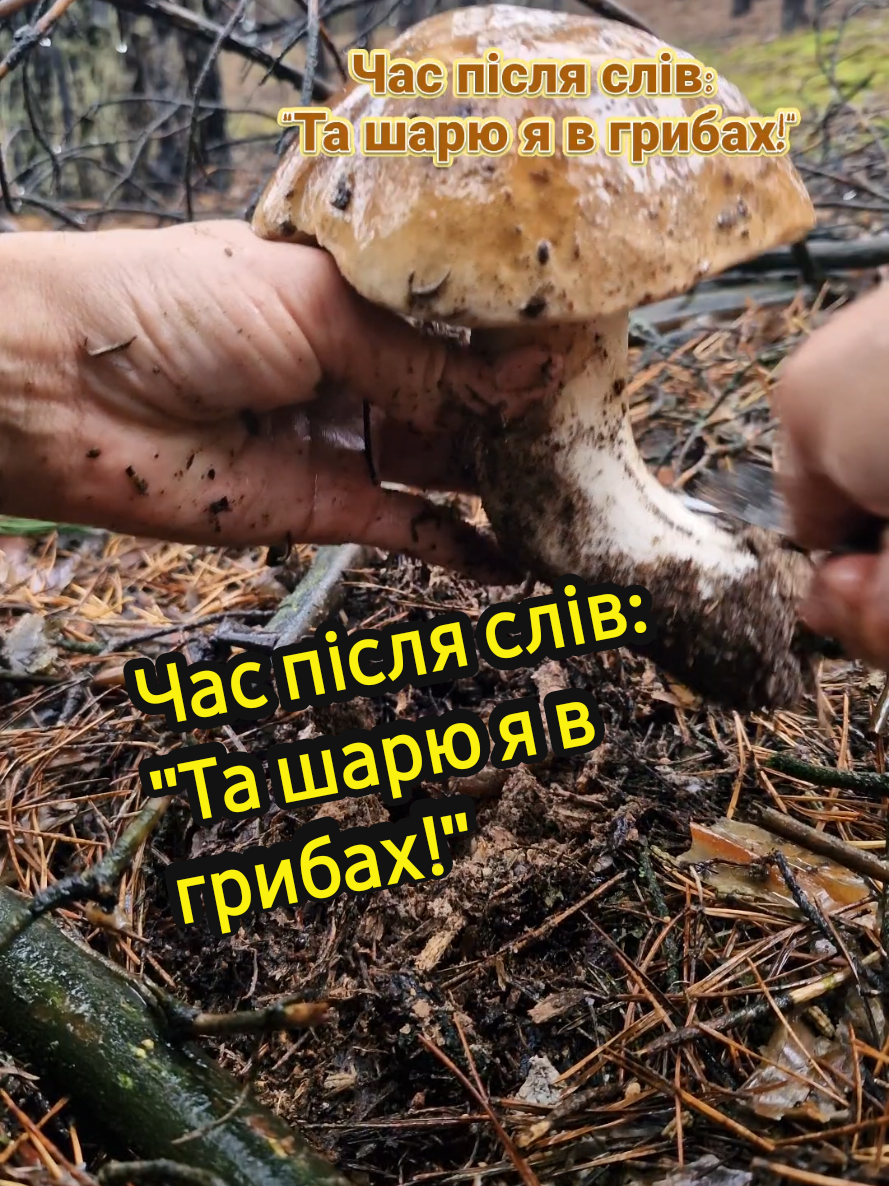 @Вікторія Царенко