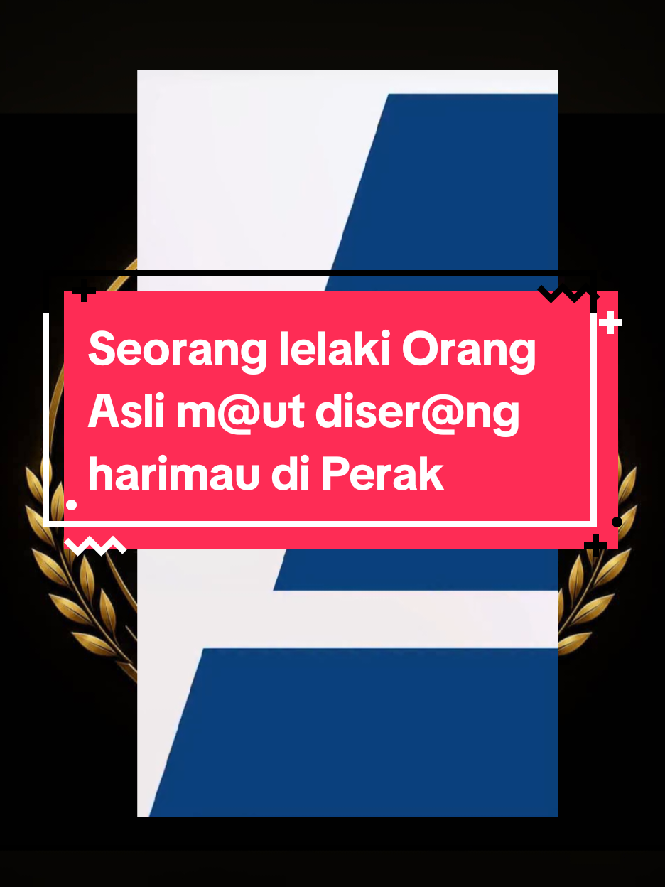 @HotDTaipinghdt
