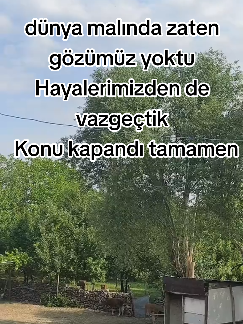@Mehmet Can Arslan ~49