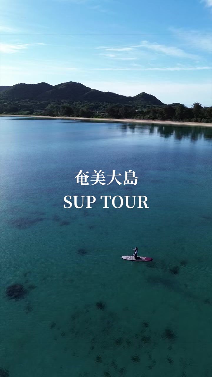 @奄美大島シマッチュ