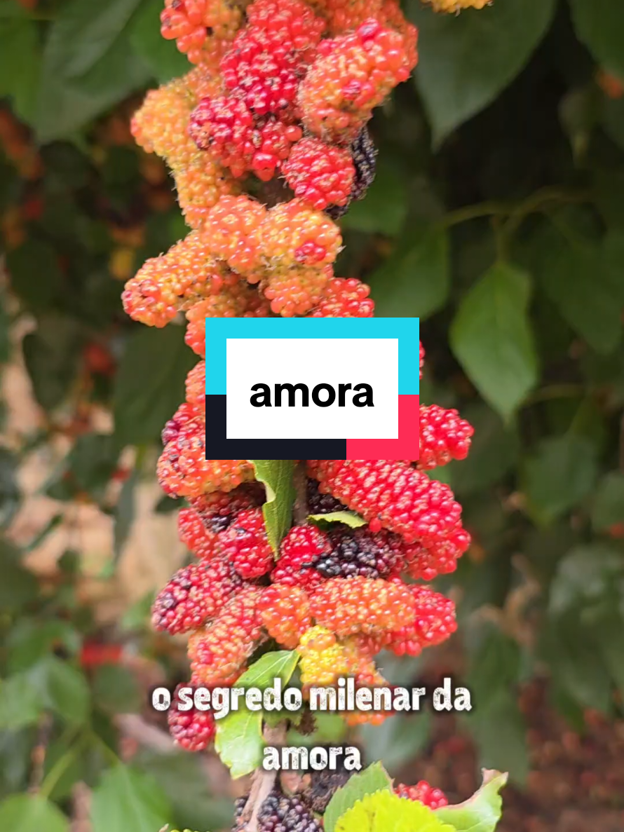 @Dicas e Receitas Naturais