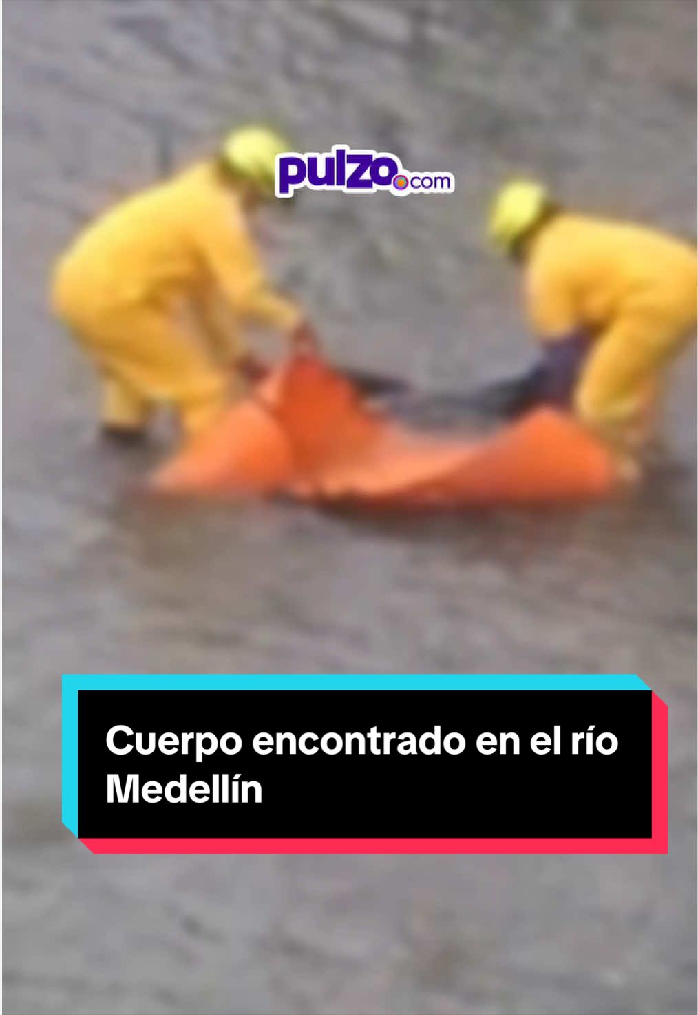 @Pulzo 📲
