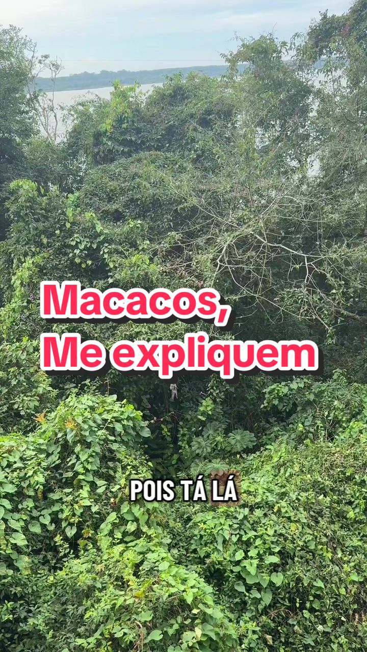 @Odara da Floresta 🇧🇷