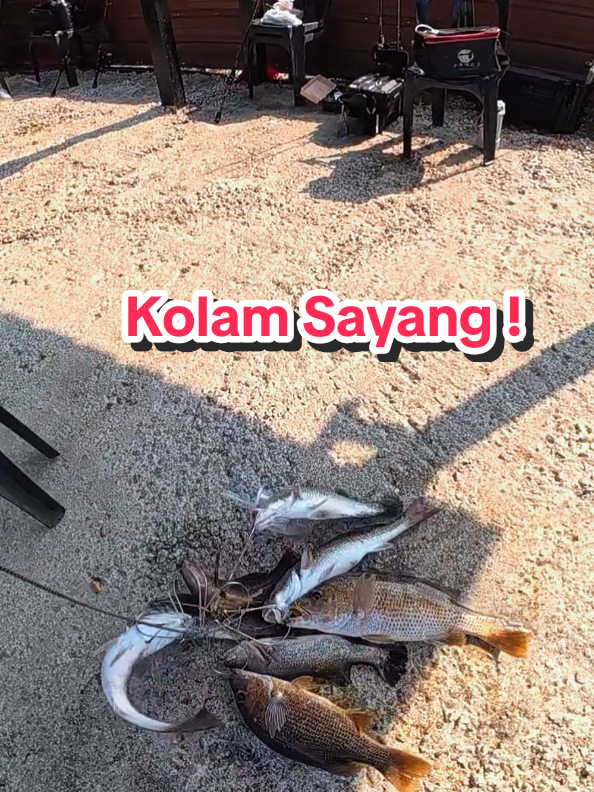 @Paan Pacak