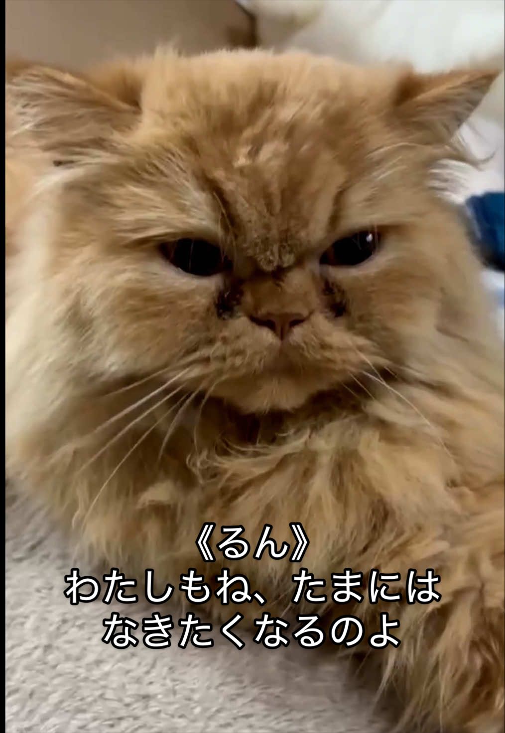 @聴々物語PROJECT