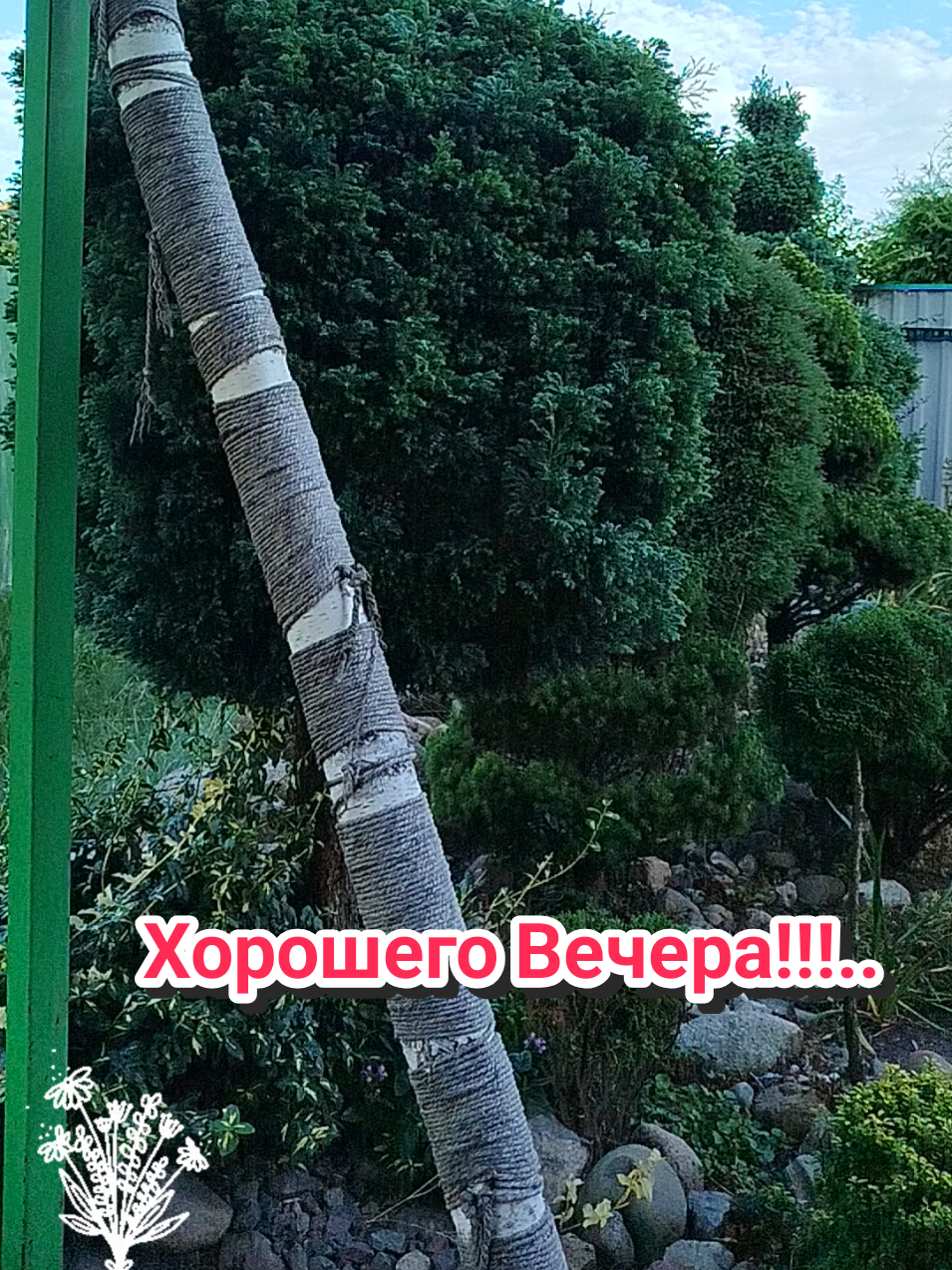 @IRINA