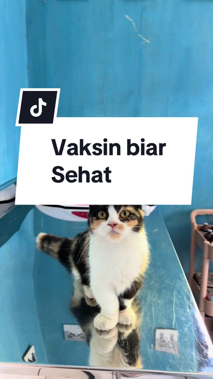 @drh.AdeFani