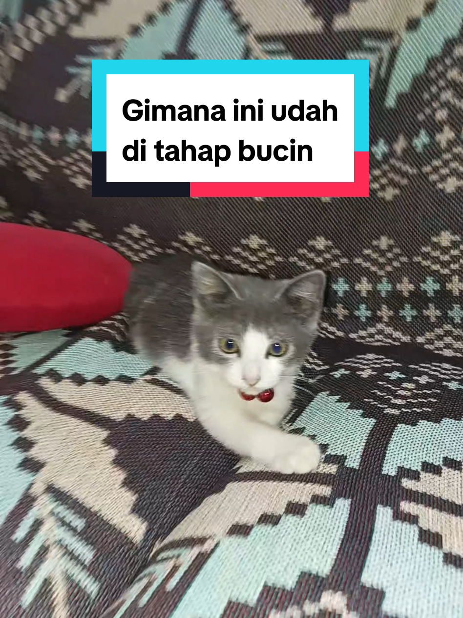 @Ontran