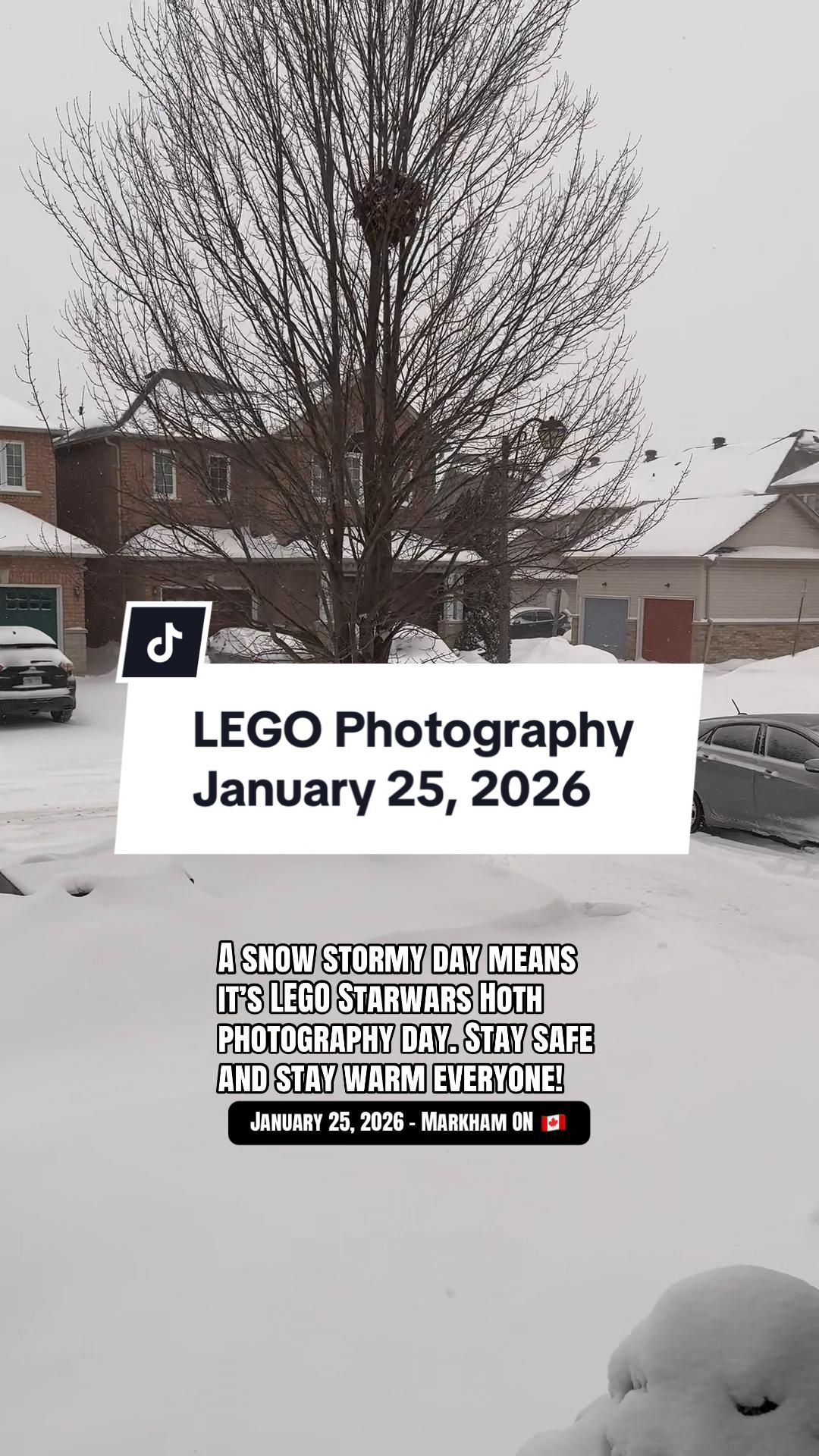 @Oz Tan Bricks 🇨🇦