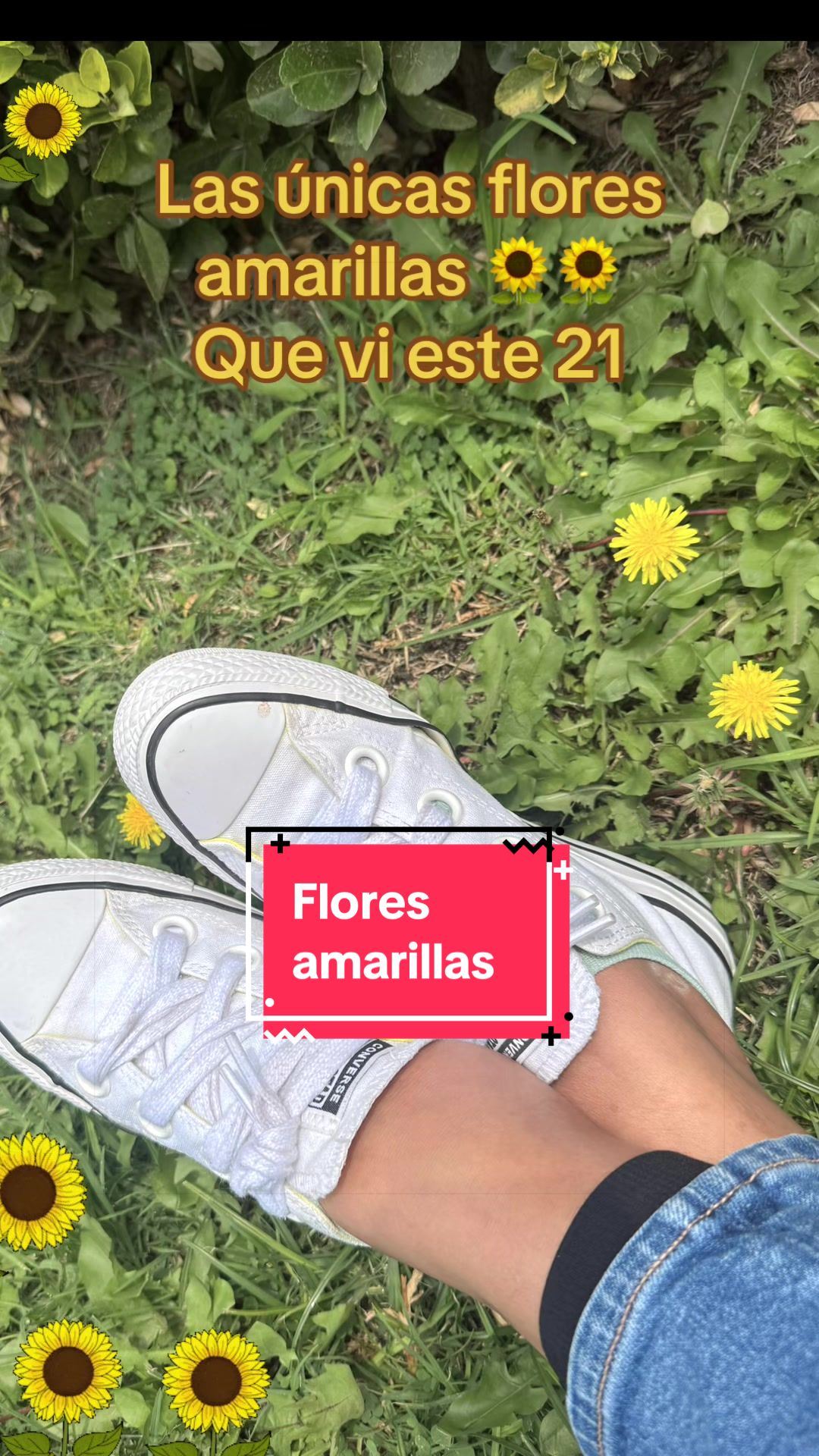 @🌎Ventura🇲🇽🦊