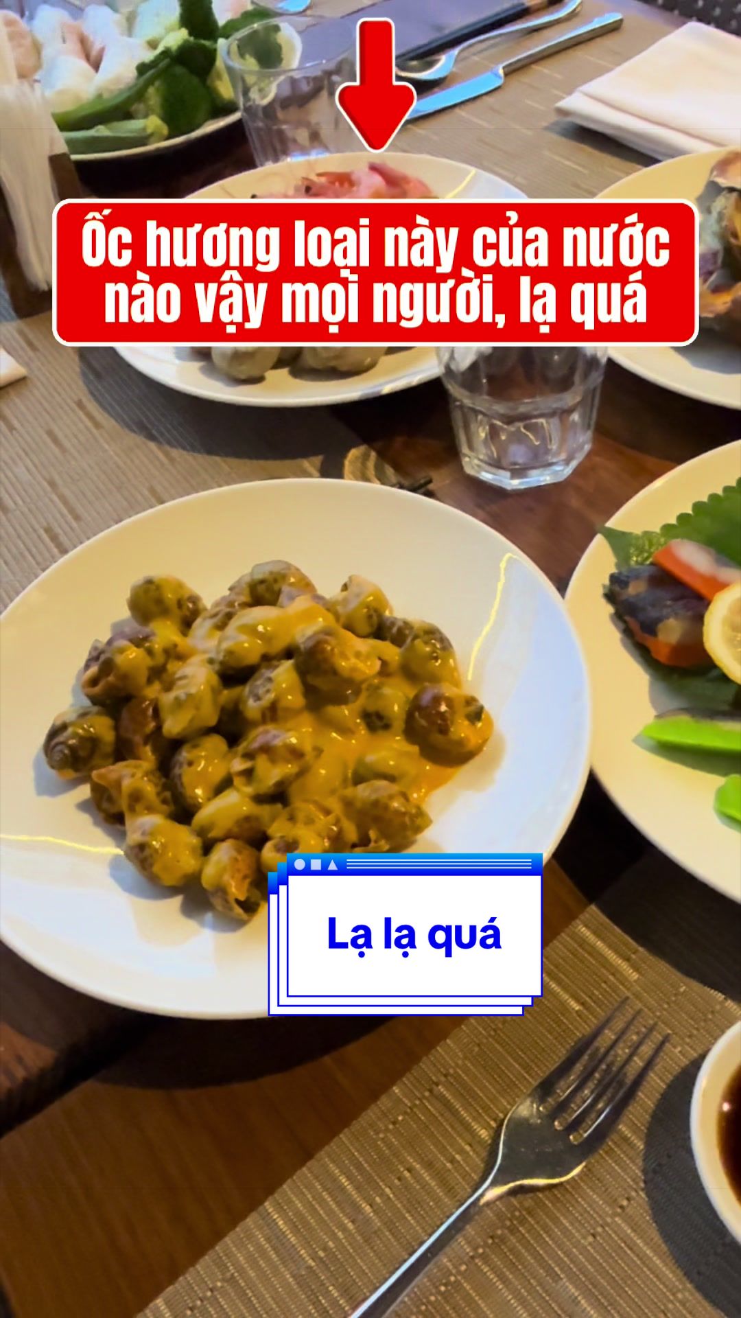 @Mr Qu&acirc;n