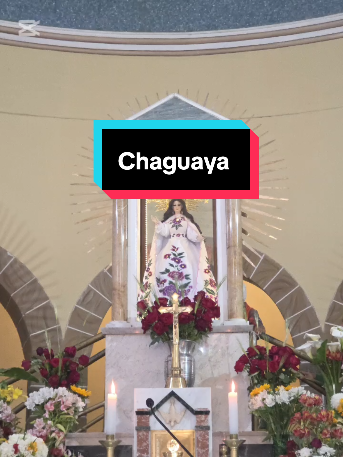 @Claudia Camacho