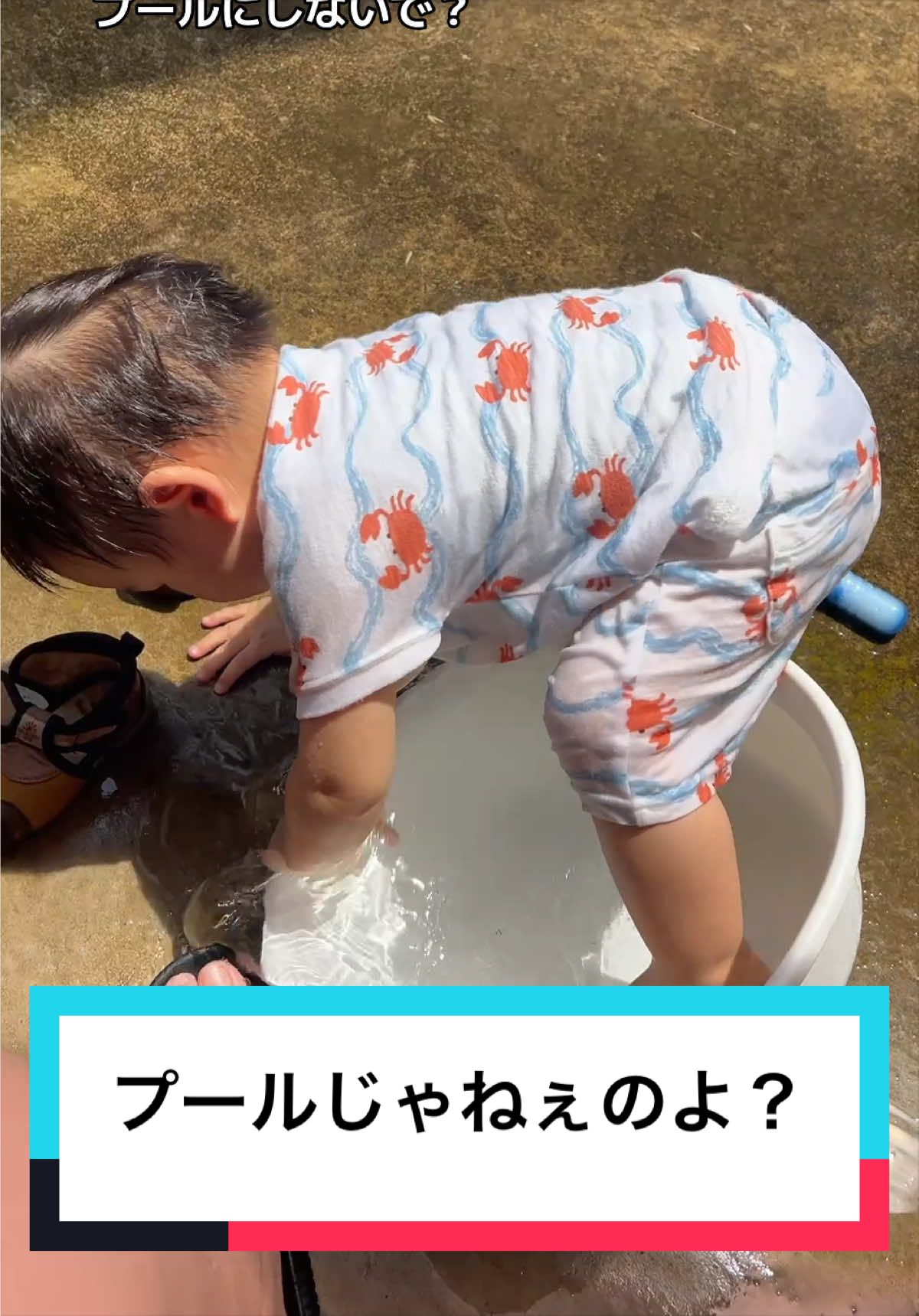@とらままんち